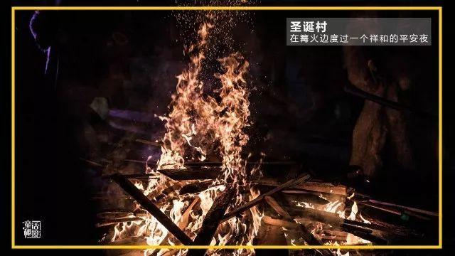 真三国无双8